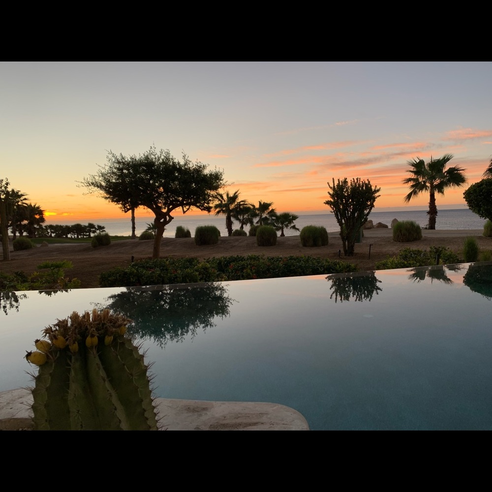 Meet your Posher, Joeli